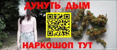 крисы Сланцы