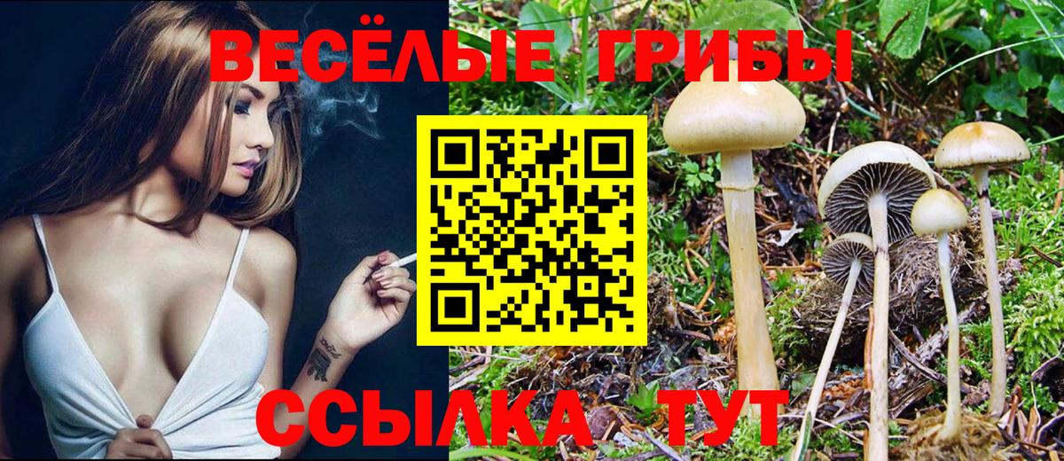 Сарапул  Галлюциногенные грибы GOLDEN TEACHER  Вход с VPN 