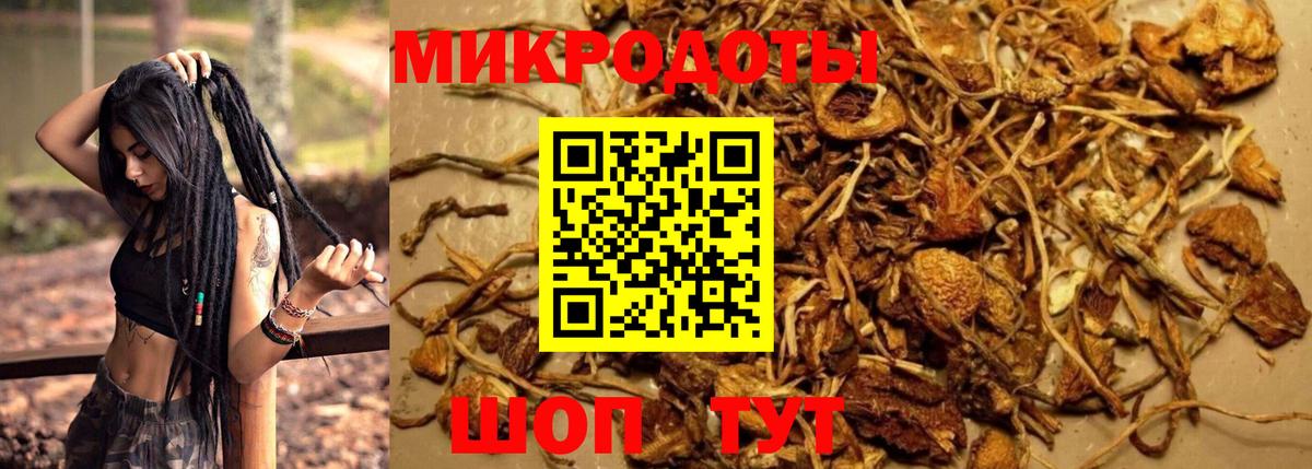 Псилоцибиновые грибы прущие грибы Сарапул